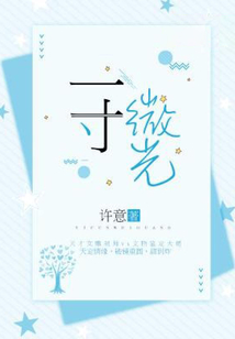 一寸微光小说TXT下载