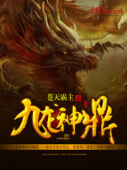 九龙神鼎境界划分