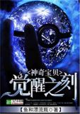 神奇宝贝:觉醒之刻