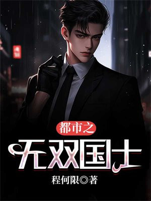 都市之无双国士 小说
