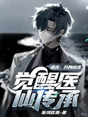 透视仙医小说