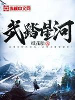 武踏星河小说