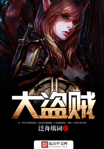 网游之大盗贼精校版TXT下载