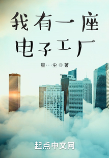 我有一座电子工厂无防盗