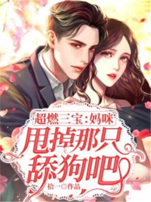 小说三宝妈咪a爆了