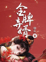 金牌弃婿TXT免费下载