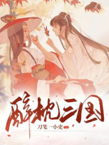 醉枕三国小说TXT
