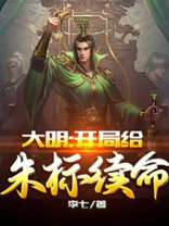 大明开局给朱标续命的小说