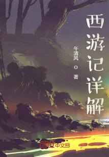 西游记详解版哪个好