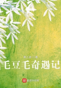 毛豆故事