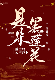 重生后公主殿下是朵黑莲花TXT下载