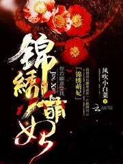 锦绣萌妃小说