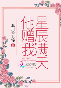 他赠我星辰满天小说免费阅读