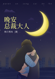 晚安总裁大人苏染