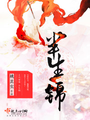 半生锦衣