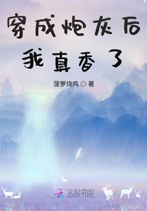 穿成炮灰后我爆红了穿书格格党