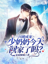 闪婚成宠少奶奶今天回家了吗小说