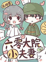 六零大院小夫妻日常全文免费阅读无防盗