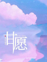 甘愿小说