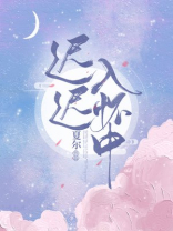 迟迟入怀中 小说
