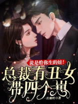 总裁丑女小说