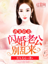 闪婚老公