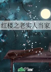 红楼之老实人当家格格党