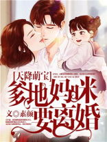天降萌宝爹地妈咪要离婚最新