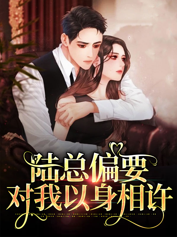 陆先生偏要以身相许陆敬南