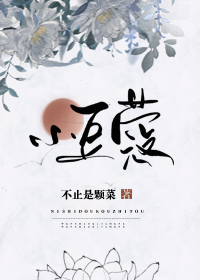 小豆蔻小说全文免费