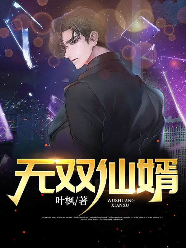 仙婿无双 小说