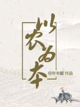 以农为本小说