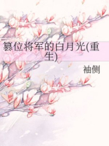 袖侧篡位将军的白月光