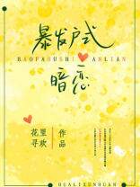 暴发户式暗恋小说免费