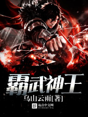 剑霸武神 小说