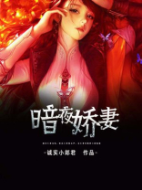 暗夜小说免费阅读全文