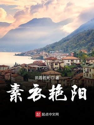 素衣wuli