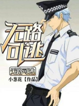 无路可逃22集电视连续剧
