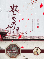 农家女神探免费阅读