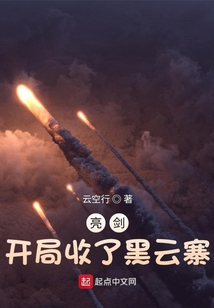 亮剑:开局收了黑云寨 小说