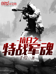 抗日之特战军魂全文免费阅读