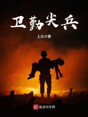 卫勤尖兵免费TXT下载