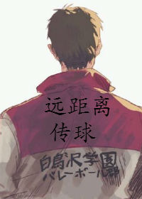 排球排球远