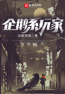 企鹅系玩家小说