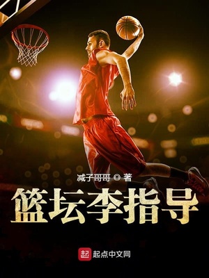 篮坛李指导txt