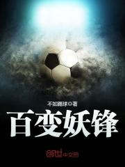 百变妖锋 小说