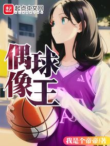 偶像球王 小说
