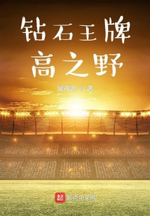 钻石王牌高之野小说免费