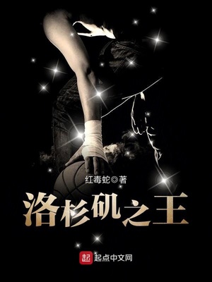 洛杉矶之王txt