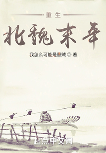 重生北魏末年精校版